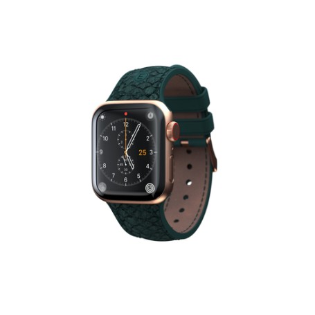 Njord byELEMENTS Jörð Watch Strap for Apple Watch 40/41mm (SL14112)