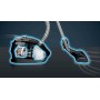 Siemens VSP3AAAA aspirapolvere a traino A cilindro Secco 750 W Sacchetto per la polvere (VSP3AAAA)