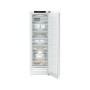 LIEBHERR FND 522I CONGELATORE FNd522i (995004151)