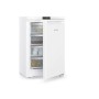 LIEBHERR Fe 1414 Pure Congelatore da tavolo con SmartFrost, Bianco Fe1414 (994875451)