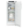 LIEBHERR FNb 465i Congelatore a libera installazione con NoFrost e EasyTwist-Ice (996990951)FNb465i