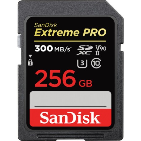 SanDisk Extreme PRO 256 GB SDXC UHS-II Classe 10 (SDSDXDK-256G-GN4IN)