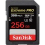 SanDisk Extreme PRO 256 GB SDXC UHS-II Classe 10 (SDSDXDK-256G-GN4IN)