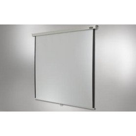 Celexon Rollo Professional schermo per proiettore 4,24 m (167") 1:1 (1090048)