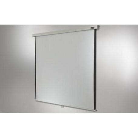 Celexon Rollo Professional schermo per proiettore 4,24 m (167") 1:1 (1090048)