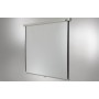 Celexon Rollo Professional schermo per proiettore 4,24 m (167") 1:1 (1090048)