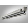 Celexon Rollo Professional schermo per proiettore 4,24 m (167") 1:1 (1090048)
