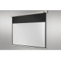 Celexon Rollo Professional schermo per proiettore 4,24 m (167") 1:1 (1090048)