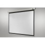 Celexon Rollo Professional schermo per proiettore 4,24 m (167") 1:1 (1090048)