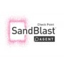 SANDBLAST AGENT BASIC - 1 YEAR (CPEP-SBA-BASIC-1Y)