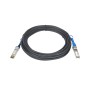 Netgear AXC7610 cavo InfiniBand 10 m SFP+ Nero (AXC7610-10000S)