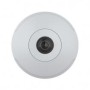 Axis M3068-P Telecamera di sicurezza IP Interno Cupola 3840 x 2160 Pixel Soffitto (01732-001)
