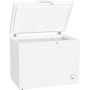 Gorenje FH30DCW congelatore Libera installazione 303 L D Bianco (739811)