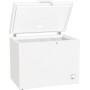 Gorenje FH302CW frigorifero e congelatore commerciali Libera installazione (FH302CW)