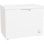 Gorenje FH302CW frigorifero e congelatore commerciali Libera installazione (FH302CW)