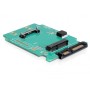 DeLOCK 61881 scheda di interfaccia e adattatore Interno mSATA (61881)