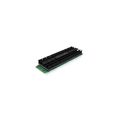 ICY BOX IB-M2HS-701 Dissipatore Nero (60361)