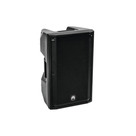 Omnitronic 11038798 altoparlante 2-vie Nero Cablato 300 W (11038798)