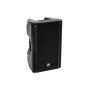 Omnitronic 11038795 altoparlante 2-vie Nero Con cavo e senza cavo 300 W (11038795)