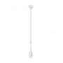 Axis T94V01C Monte (01457-001)