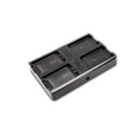 Datalogic 94A150074 carica batterie AC (94A150074)