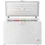 Beko HSA29540N frigorifero e congelatore commerciali Libera installazione (HSA29540N)