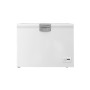 Beko HS22340 frigorifero e congelatore commerciali Libera installazione D (HS22340)