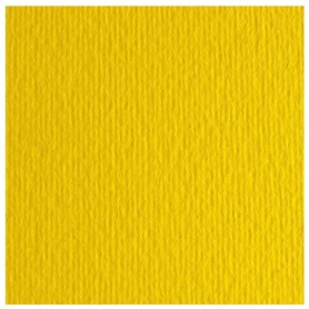 CF10 LR CEDRO-70X100 (46470125)