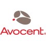 Vertiv Avocent 1 Year 12x5 Mnt/Silver DSView Standard Pack 1 anno/i (SCNT-1YSLV-STND)