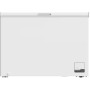 Congelatore a libera installazione PKM GT 300E, larghezza 112,5 cm, 299 L, termostato regolabile, bianco