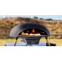 Le Feu Turtle 3.1 - Forno per pizza, pietra per pizza da 35 cm, gas