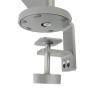 Chief DMA2S supporto da tavolo per Tv a schermo piatto 81,3 cm (32") Argento Scrivania (CHDMA2S)