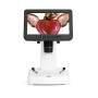 MICROSCOPIO HOOK LCD7 (DP-H-LCD7)