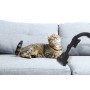 Hoover H-ENERGY 700 HE720PET 011 5 L A cilindro Secco 850 W Sacchetto per la polvere (39002263)