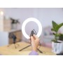 MAKU+ 2-IN-1 STREAMING KIT (24881)