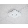 1PT INSIGHT MANAGED WIFI 7 (WBE710-100EUS)
