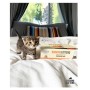BARKING KITTENS (NEW REFERENCES) (8620B)