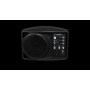 Mackie SRM 150 altoparlante 3-vie Nero Cablato 100 W (SRM 150)
