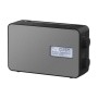 Panasonic RF-D30BTEG Portatile Digitale Nero, Grigio (RF-D30BTEG-K)