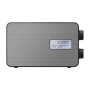 Panasonic RF-D30BTEG Portatile Digitale Nero, Grigio (RF-D30BTEG-K)