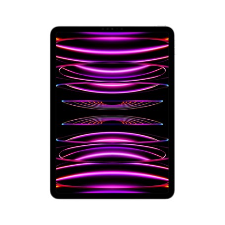 Apple iPad Pro 256 GB 27,9 cm (11") Apple M 8 GB Wi-Fi 6E (802.11ax) iPadOS 16 Grigio (MNXF3FD/A)
