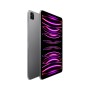 Apple iPad Pro 256 GB 27,9 cm (11") Apple M 8 GB Wi-Fi 6E (802.11ax) iPadOS 16 Grigio (MNXF3FD/A)
