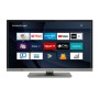 Panasonic TX-24JSW354 TV 61 cm (24") WXGA Smart TV Wi-Fi Argento, Acciaio inossidabile (TX-24JSW354)