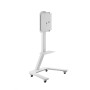 Hagor ST SA Flip II 165,1 cm (65") Bianco (5788)
