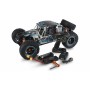 Amewi AMXRacing RXB7 Motore elettrico 1:7 Buggy (22554)