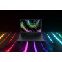 Razer Blade 15 i7-13800H Computer portatile 39,6 cm (15.6") Quad HD Intel® Core™ i7 16 GB DDR5-SDRAM 100 (RZ09-0485YGD3-R3G1)