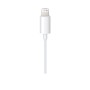 Apple MXK22ZM/A cavo audio 1,2 m 3.5mm (MXK22ZM/A)