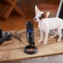 AT2020USBX (schwarz, USB-C, 3.5 mm Klinke)