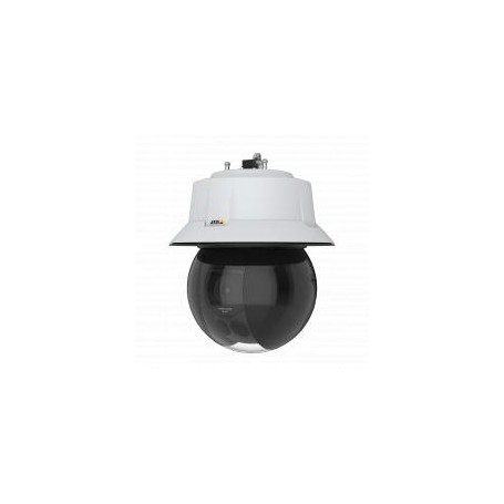 Axis Q6315-LE 50 Hz Telecamera di sicurezza IP Interno e esterno Cupola 1920 x 1080 Pixel Parete (01924-002)