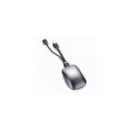 Viewsonic VB-WPS-003 telecomando WiFi Display interattivo